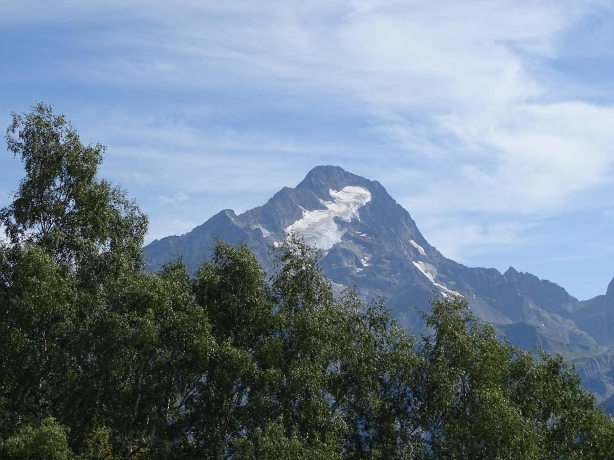 Apartament L'Ansloboys Montagne A2 Les Deux Alpes Zewnętrze zdjęcie