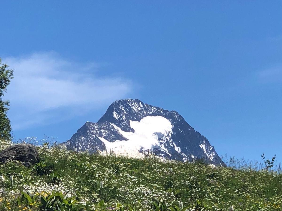 Apartament L'Ansloboys Montagne A2 Les Deux Alpes Zewnętrze zdjęcie
