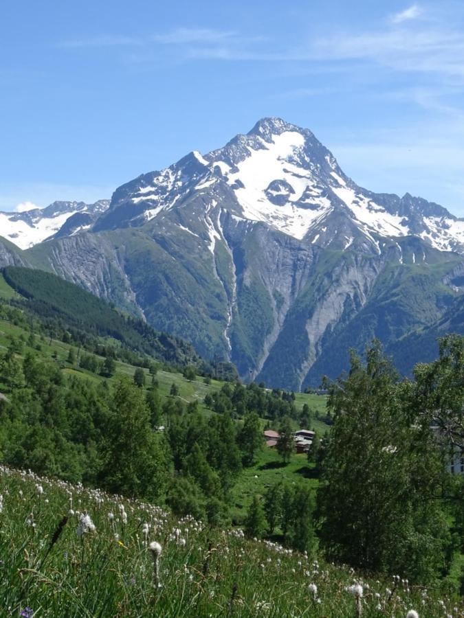 Apartament L'Ansloboys Montagne A2 Les Deux Alpes Zewnętrze zdjęcie